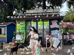 -三亚海昌梦幻海洋不夜城