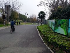 -东湖落雁景区