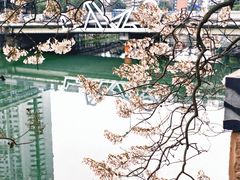 -成都市活水公园