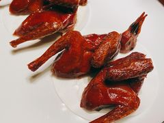 脆皮妙龄鸽-新荣记(建国门外大街店)