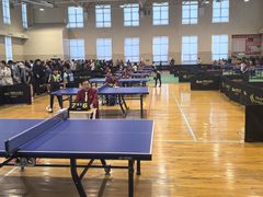 -浙江大学附属中学(丁兰校区)