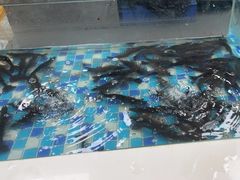 -养牛邓·潮汕牛肉海鲜自助火锅(广州店)