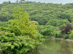 -苏州上方山国家森林公园