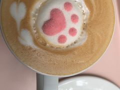 -喵屿·大理花园猫咖