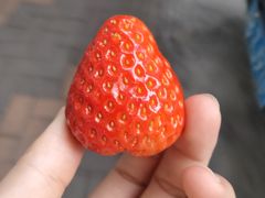 -粥瓜婆特色砂锅粥(白石洲店)