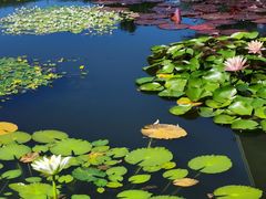 -国家植物园南园