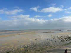 -北海金海湾红树林生态旅游区