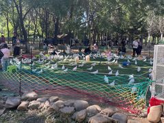 -长白岛森林公园