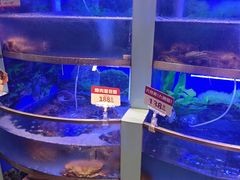 -七欣天香辣蟹火锅(南京建宁路大观天地店)