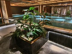 -浅深(北京北四环精品店)