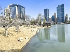 -后襄河公园