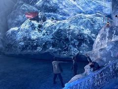 -多彩贵州城极地海洋世界