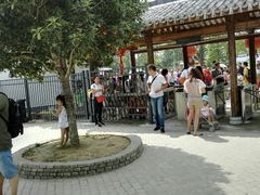 android_upload_pic-武汉紫薇都市田园