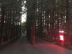 -日照海滨国家森林公园