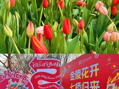 -七桥瓮公园