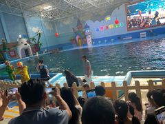 -蓬莱欧乐堡海洋极地世界