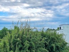 -白鹭湾湿地公园