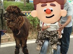 -石家庄市动物园