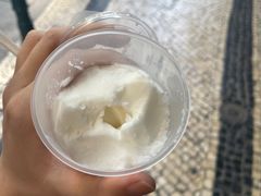 -洪馨椰子