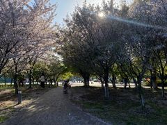 -苏州东太湖生态园