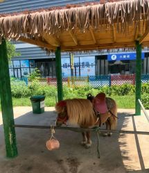 -萌宠亲子动物乐园(槐房万达店)