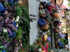 -Money Shops(愚园路店)