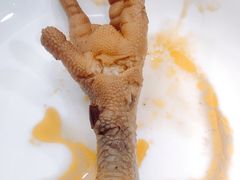 辣卤鸡爪-春阳水饺(香槟广场店)