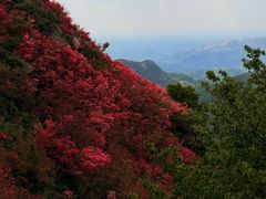 -木兰云雾山