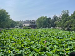 -莲池书院博物馆