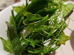 -一叶一世界•素食餐厅(环球中心店)
