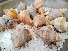 -水乡人家私房菜(逢简店)