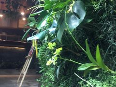 -森味薪火烧•烧鸟居酒屋•日本料理(望京店)