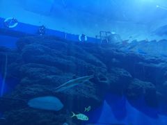 -成都浩海立方海洋公园