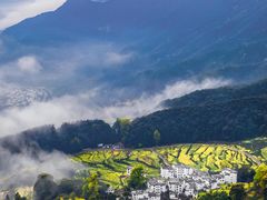 -婺源风景区