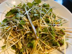 凉爽荞麦苗-兴农记