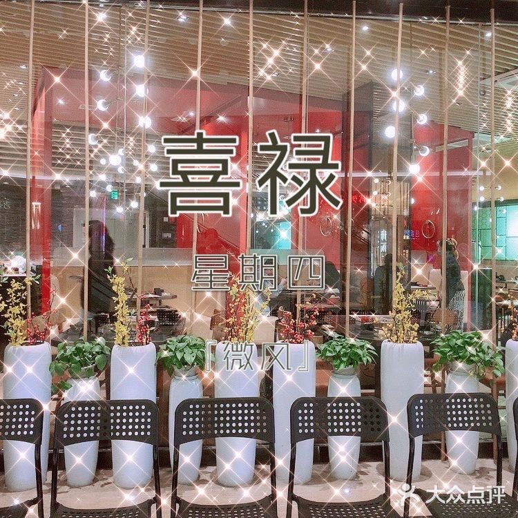 蛙蛙爱好者的聚集地，你会来吗？