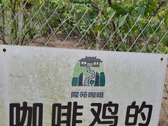-兴隆隆苑咖啡庄园