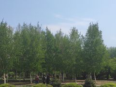 -长春公园(普阳街道)