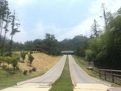 -黄陂区野村谷景区