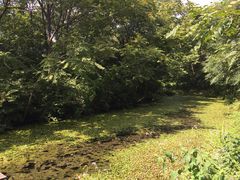 景点-沈阳植物园