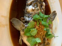 -大树下海鲜饭店