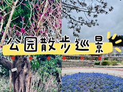 -嘉定紫藤园