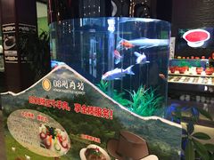 -08涮肉坊(广顺南大街店)