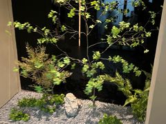 -隐溪茶馆(金虹桥店)