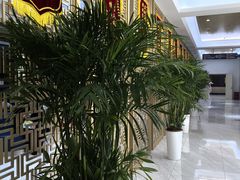 -美年大健康体检中心(牡丹园分院)