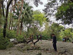 -惠州泗洲塔