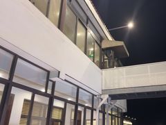 -大队长大灶鹅