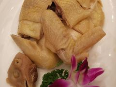 -黄埔华苑酒家(黄埔店)