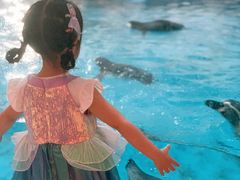 -帝企鹅自助餐厅•儿童岛•真企鹅(长隆企鹅酒店)