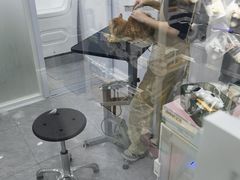 -爱洗澡的猫(天河路店)